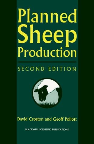 Planned sheep production