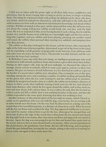 Illustrated Shepherd's Life