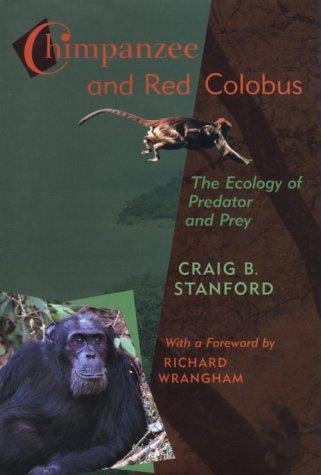 Chimpanzee and red colobus