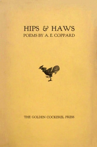 Hips & haws