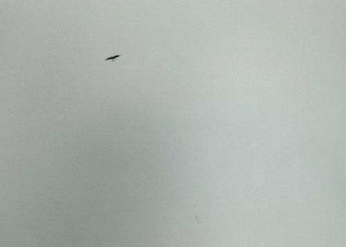 F©♭lix Gonz©Łlez-Torres