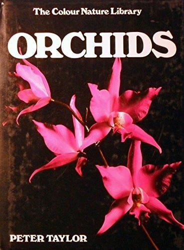 Orchids