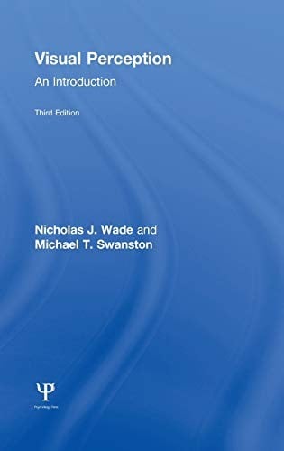 Visual perception