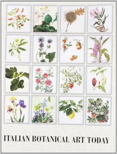 Italian botanical art today