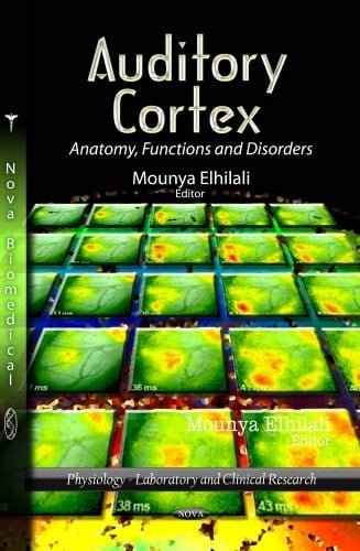 Auditory cortex