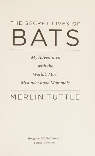 The secret lives of bats