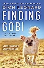 Finding Gobi