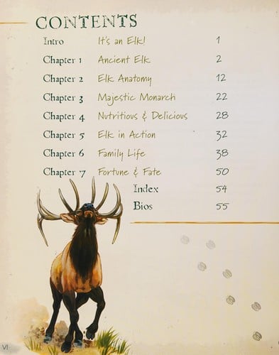 The wild life of elk