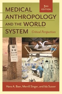 Medical anthropology and the world system