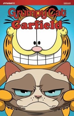 Grumpy Cat/Garfield