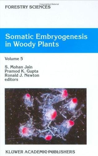 Somatic embryogenesis in woody plants