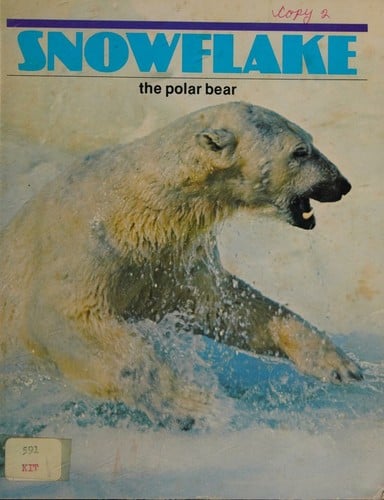 Snowflake the polar bear