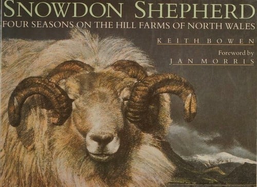 Snowdon shepherd