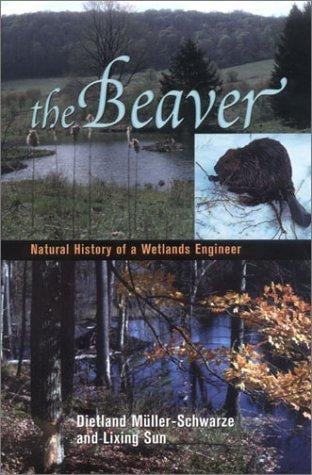 The beaver
