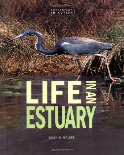 Life in an Estuary