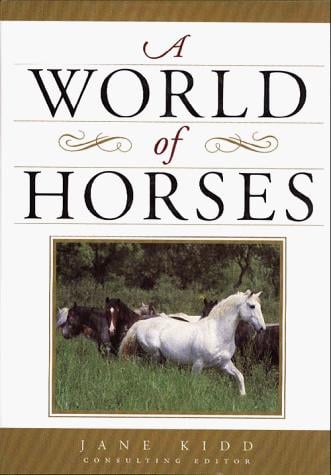 A world of horses