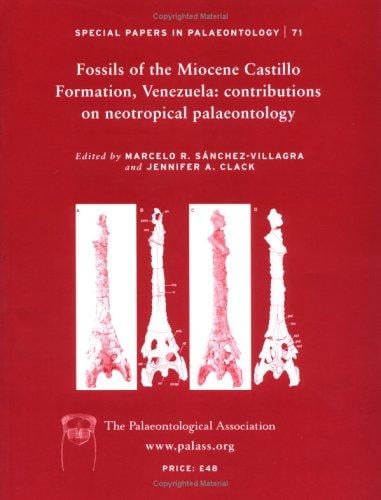 Fossils of the Miocene Castillo Formation, Venezuela