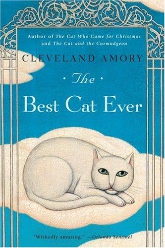 The best cat ever