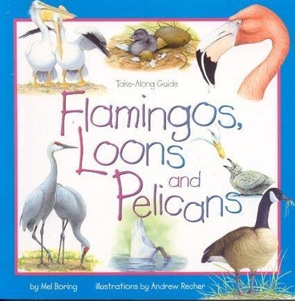 Flamingos, loons, and pelicans