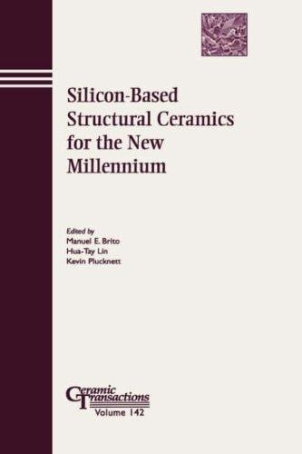 Silicon-based structural ceramics for the new Millennium