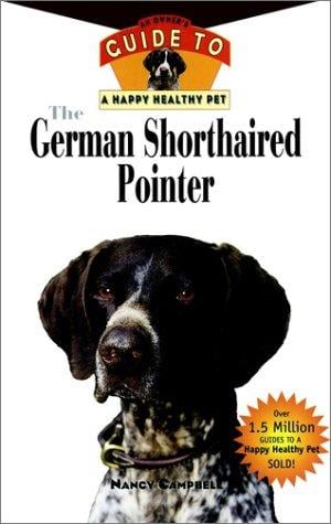 The German shorthaired pointer