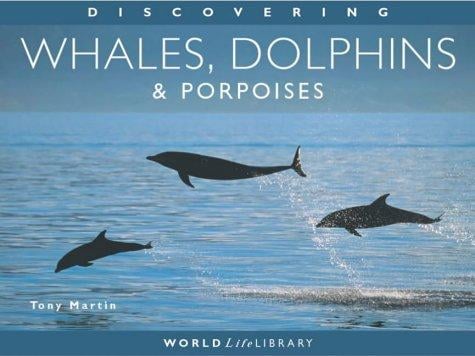 Discovering whales, dolphins & porpoises