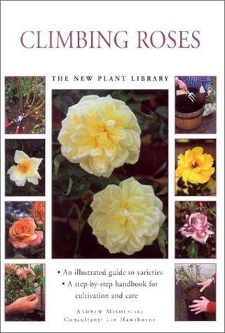 Climbing roses