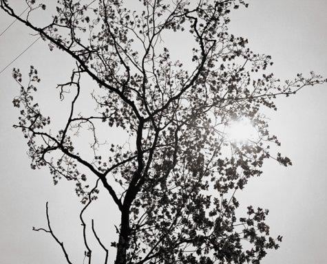 James Welling Photographs