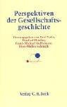 Perspektiven der Gesellschaftsgeschichte (German Edition)