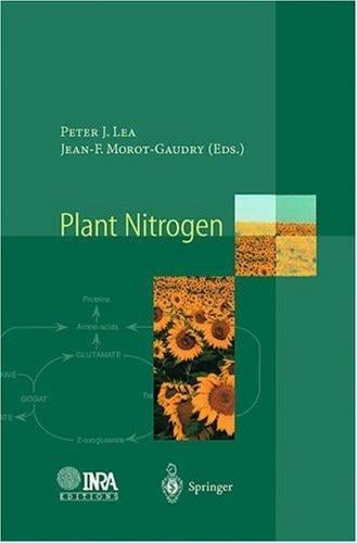 Plant nitrogen