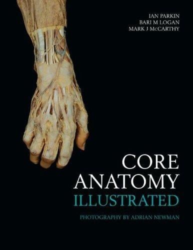 Core anatomy