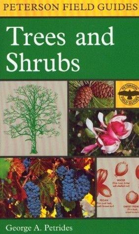 Trees and shrubs