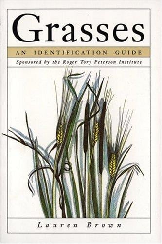 Grasses, an identification guide