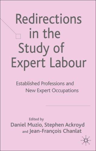 Redirections in the study of expert labour