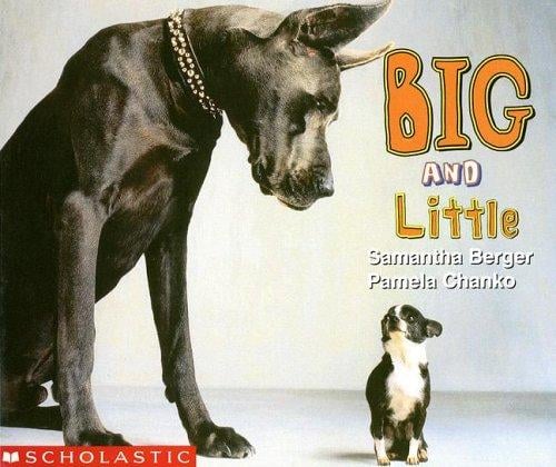 Big and Little (My First Library)