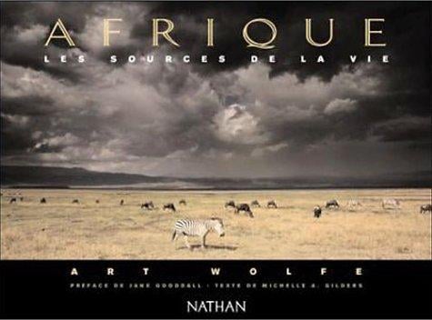 Afrique les sources de la vie