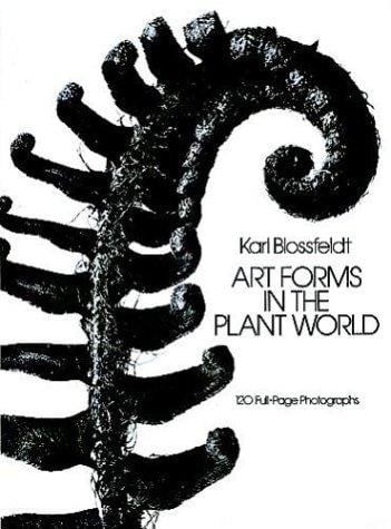 Art forms in the plant world