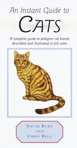 An instant guide to cats