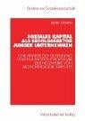 Soziales Kapital als Erfolgsfaktor junger Unternehmen