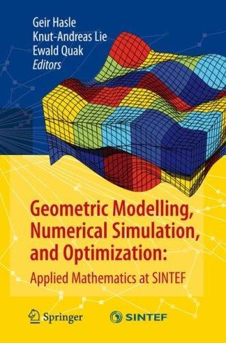 Geometric modelling, numerical simulation, and optimization