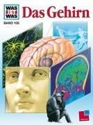 Das Gehirn