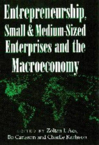 Entrepreneurship, small and medium-sized enterprises, and the macroeconomy