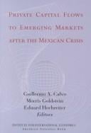 Private capital flows to emerging markets after the Mexican crisis
