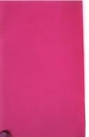 Ten Indian writers in interview