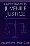 Understanding juvenile justice