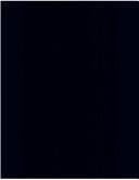 Contemporaries of Erasmus