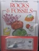 Rocks and Fossils