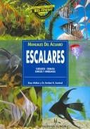 Escalares / Angelfish