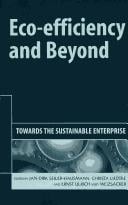 Eco-efficiency and beyond