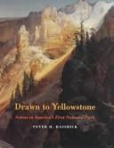 Drawn to Yellowstone